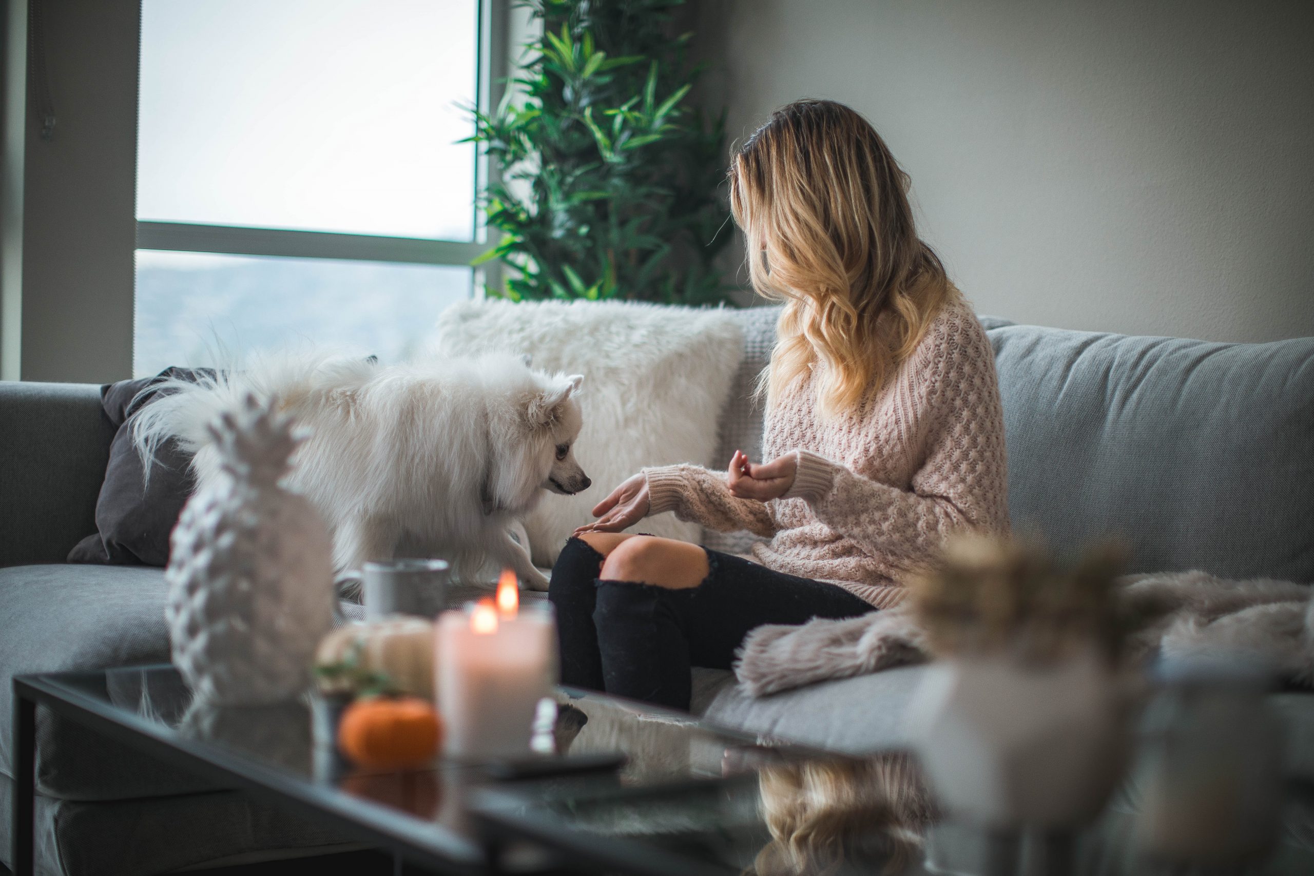 You are currently viewing Indoor Activities for Self-Care